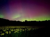 Northern Lights could be more common in next few weeks, including tonight