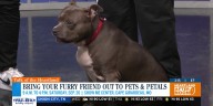 Celebrate your pet with Pets and Petals at the Show Me Center in September