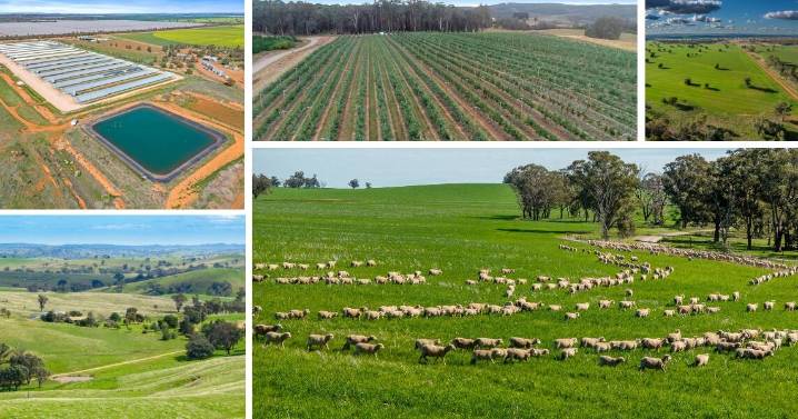 All the latest listings on the NSW rural property market