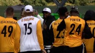Steelers vs. Vikings in Dublin | Ireland NFL regular-season game