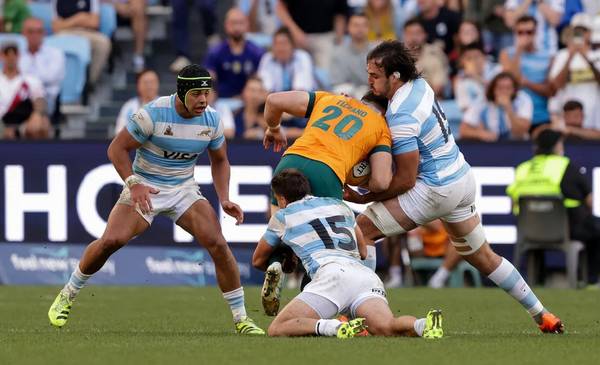 Qué tiene que pasar para que los Pumas ganen el Rugby Championship