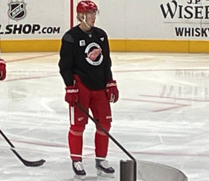 Red Wings encouraged by Simon Edvinsson’s progress from injury