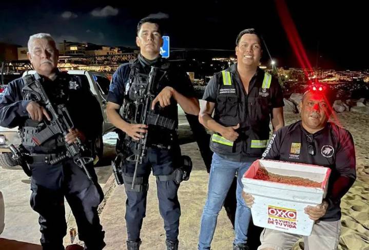 Protegen nido de tortuga marina en playa El Corsario: resguardan 137 huevos