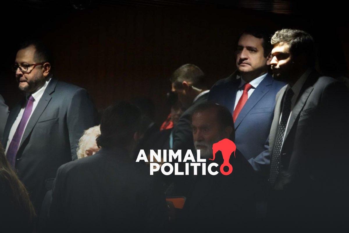 Amparos buscadores: ¿qué son y cómo se usaron con los hijos de AMLO?