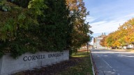 Cornell students skin 120-pound bear in dorm kitchen, school says
