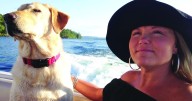 One family helps match children with diabetes to service dogs through Mandy's Angels