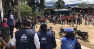 Defensoría alerta por desplazamientos en Anorí tras choques del Clan del Golfo y disidencias Farc