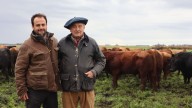 Misión “imposible”. Una familia de ganaderos rompió una curva biológica