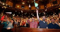 Does painting cows with stripes prevent fly bites? Researchers who studied this wins Ig Nobel prize