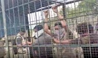 Furious Indian villagers trap forest staff in tiger cage after failure to catch big cat