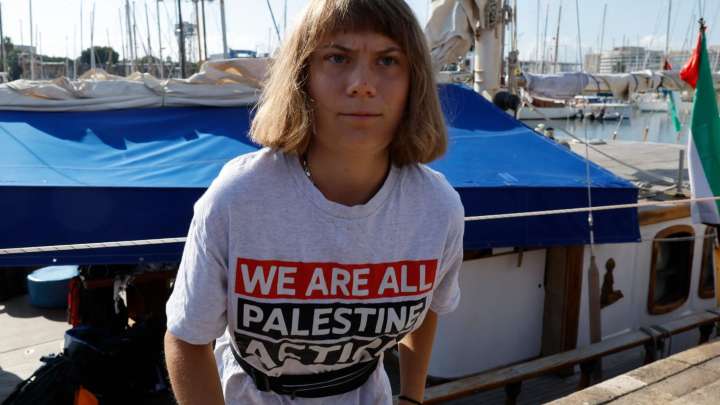 Greta Thunberg’s Gaza flotilla TURNS BACK hours after setting sail after Israel vowed to throw her in ‘terror cell’