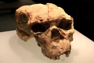Hallazgo en China. Un cráneo de más de un millón de años desafía las teorías sobre los orígenes de la especie humana