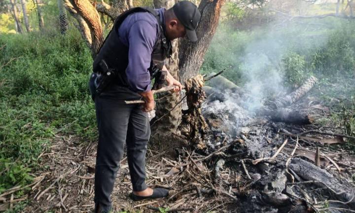 Esclarecieron hecho de abigeato