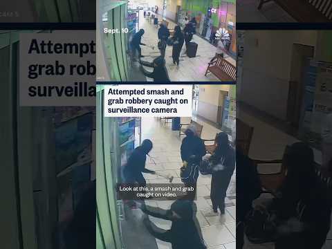 Attempted smash and grab robbery caught on surveillance camera