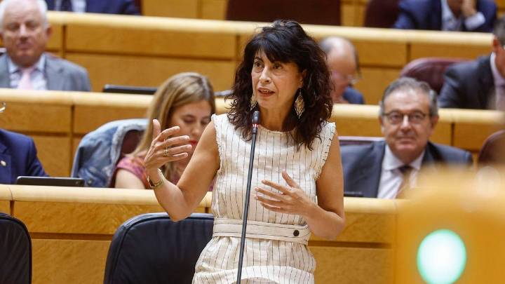 Canarias avisó hace más de un año de los fallos en el sistema de pulseras antimaltrato y la falta de técnicos