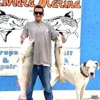 Yes, there are big stripers out there in Bullhead City
