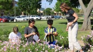 Cultivating Connection: A Science Teacher’s Blossoming Idea