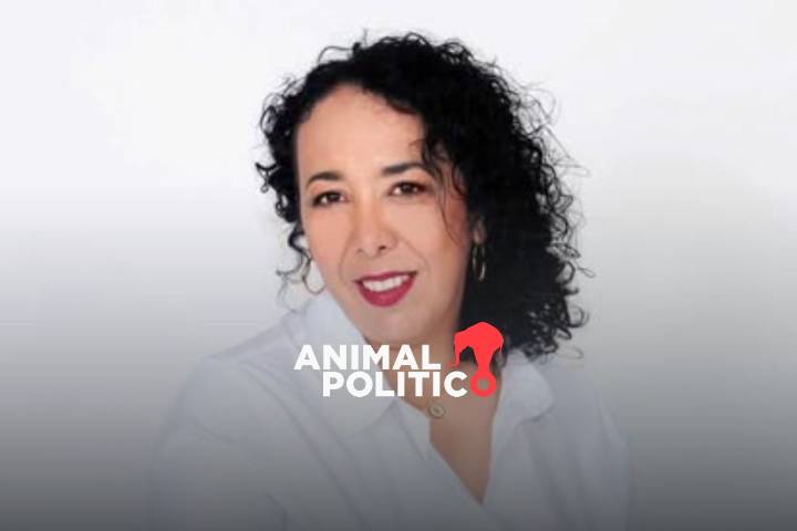 Hilda Araceli Brown, la diputada de Morena acusada de presuntos vínculos con el Cártel de Sinaloa