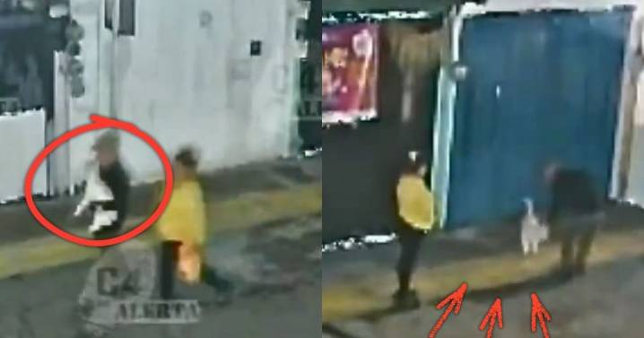 Graban a parejita robándose a una perrita en Tecámac; así los cacharon
