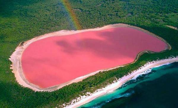 Por qué hay lagos de color rosa
