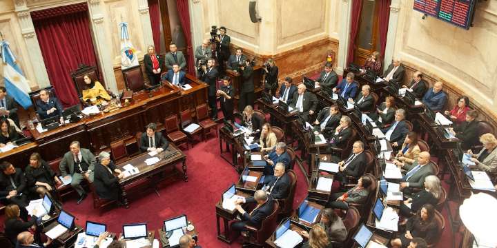 Senado: la oposición insistirá mañana con la Ley de Discapacidad vetada por Milei y buscará la forma de rechazar los DNU