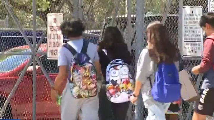 Maestros demandan por medidas migratorias de Trump – Telemundo Area de la Bahía 48