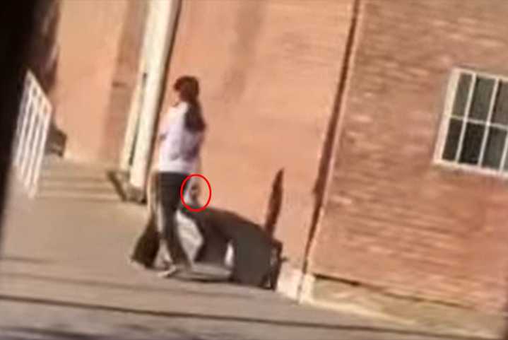 La alumna que disparó en una escuela  mendocina será derivada a un tratamiento de salud mental