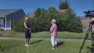 Overgrown property troubles neighbor, plans in the works