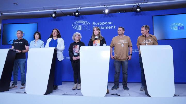 Tres eurodiputados valencianos responderán a las víctimas de la dana en la Comisión de Peticiones