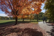 NYC Will See 50 Degrees For The First Time In 4 Months By Mid