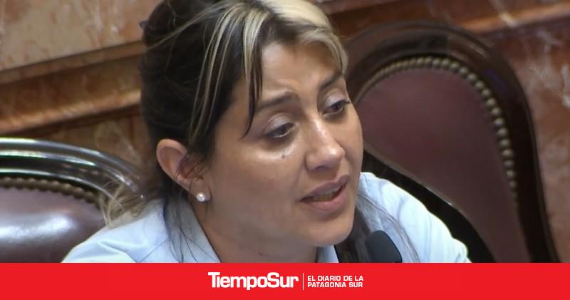 Senado Gadano adelantó que rechazará el veto a la emergencia en discapacidad