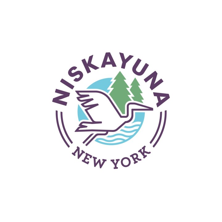 Niskayuna bans airsoft-style guns in public places
