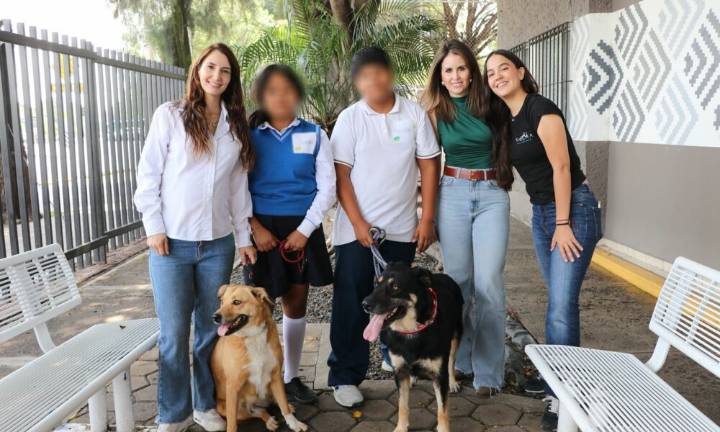 Jóvenes del DIF Municipal entrenarán a perros rescatados