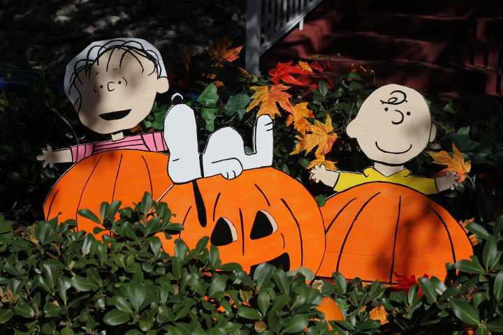 Pumpkin patches and fall festivals in Miami