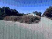 Towering grass in NE Oklahoma City has neighbor upset
