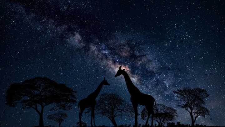 Trade the Monsoon Drizzle for Dazzling Milky Way Skies: Best Stargazing Destinations