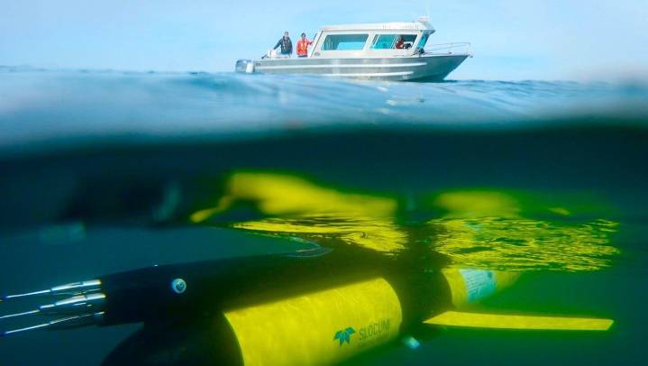 Threat of oxygen-poor ‘dead zones’ surfacing on BC central coast