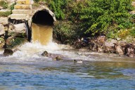 Fecal Contamination Shuts Down Popular Beaches Ahead of Labor Day Weekend