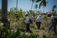 Desaparecidos cuatro niños en Acapulco hace cinco días y la policía desconoce dónde