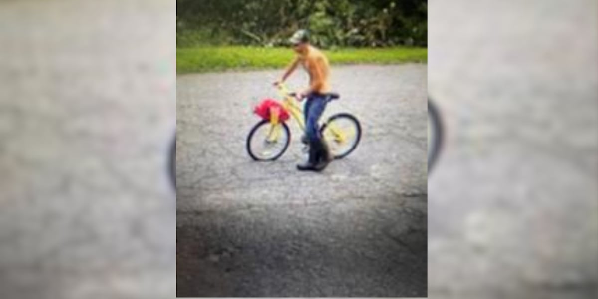 NC police search for suspect accused of stealing lawn care tools