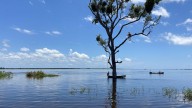 Protección Civil: Río Orinoco disminuye entre dos a cuatro centímetros por día