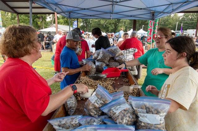 36th Annual Brooklet Peanut  Festival to liven up this Saturday