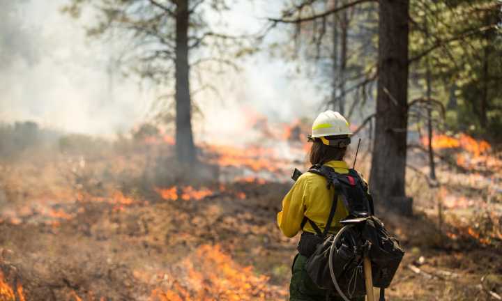 FireSmart BC launches wildfire safety curriculum for schools