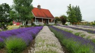 8 Top Towns To Retire In Washington