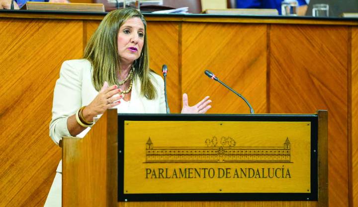 Confrontación entre PP y PSOE por el hospital: esgrima en el Ayuntamiento; artes marciales mixtas en el Parlamento