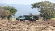 Contrabando, bajos precios y competencia desleal agravan la crisis en el sector cañero, indican campesinos