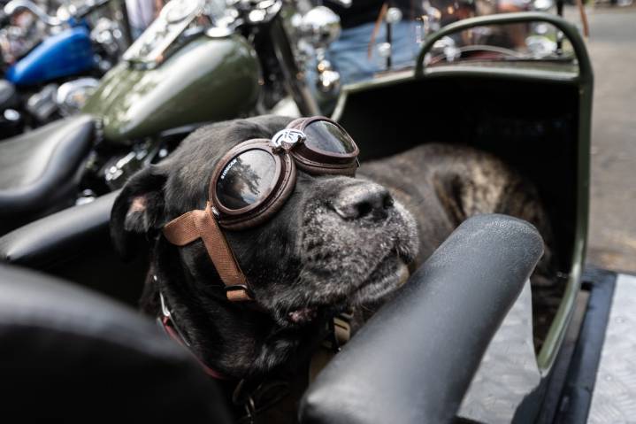 Veterans motorcycle ride to take off without 'bestest boy ever'