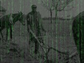 Barry Appleton: Canada has become a nation of digital sharecroppers