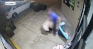 Kindness stolen: Norfolk SPCA donations swiped minutes after they were dropped off