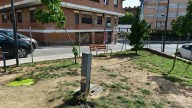 Vecinos de Miralvalle de Plasencia reclaman “reubicar el pipicán” del barrio